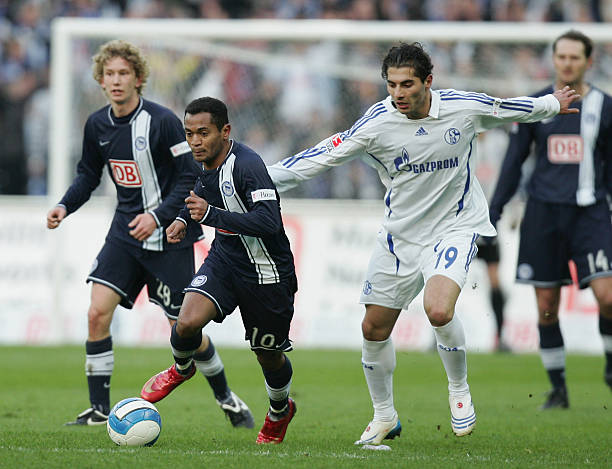 不仅展现了 不仅展现了