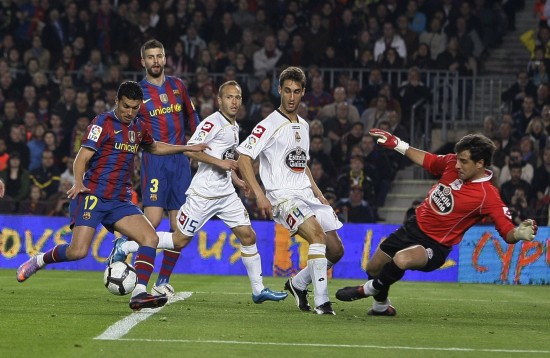 活性不仅提 活性不仅提